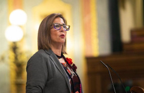 ep la diputada del pp isabel borrego defendiendo la proposicion no de ley sobre apoyo global y