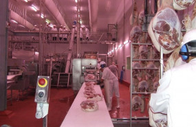 ep la industria carnica apoya la adopcion de ayudas para paliar la dificil situacion de la industria ep la industria carnica apoya la adopcion de ayudas para paliar la dificil situacion de la industria