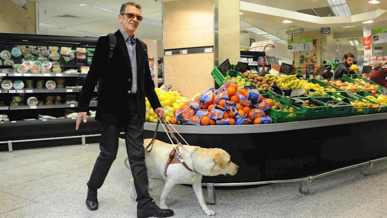 ep los perros guia garantizan la autonomia de las personas ciegas durante el confinamiento ep los perros guia garantizan la autonomia de las personas ciegas durante el confinamiento