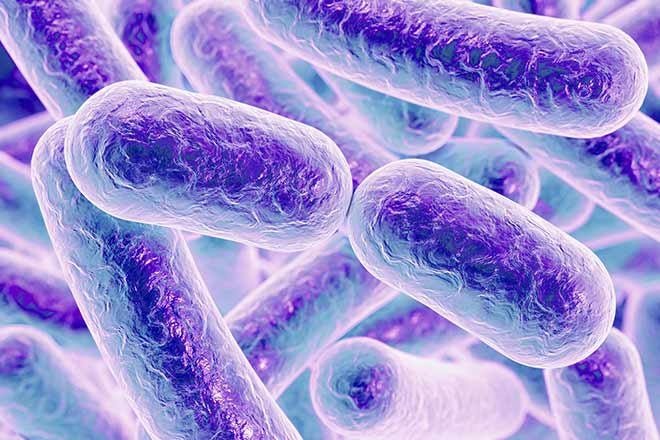 ep microbiota microbioma intestinal