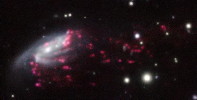 Observaciones de 'galaxias medusa', llevadas a cabo con el VLT de ESO | ESO/GASP COLLABORATION ep observaciones de galaxias medusa llevadascabovlteso