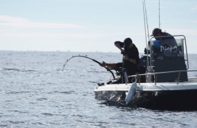 ep pescadores recreativos en pleno combate con un atun rojo durante la jornada de marcaje cientifico