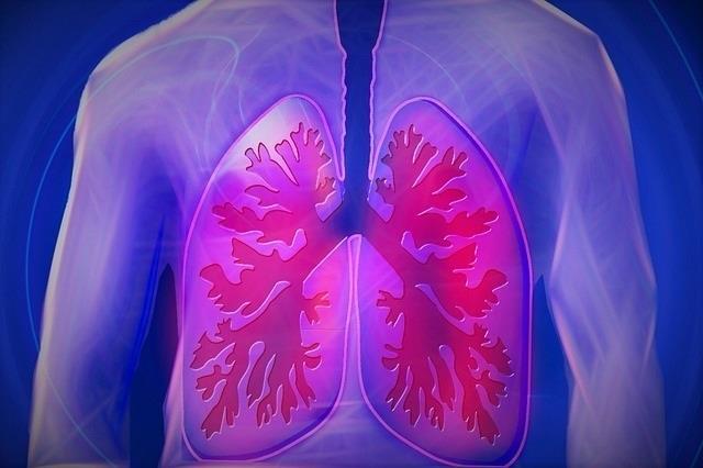ep pulmones epoc