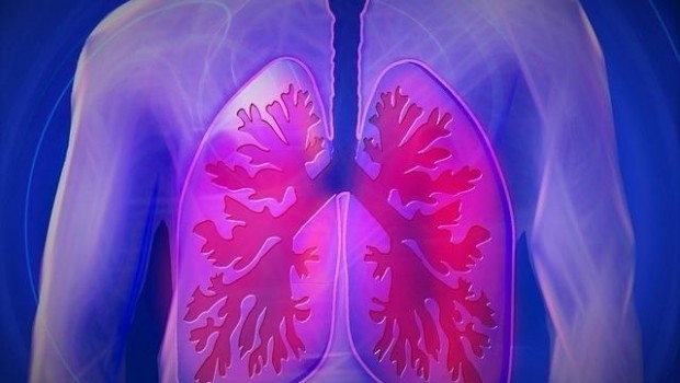 ep pulmones epoc