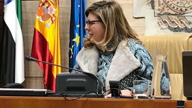 ep victoria dominguez presenta enmiendasquepresupuestos incluyan 4 millo