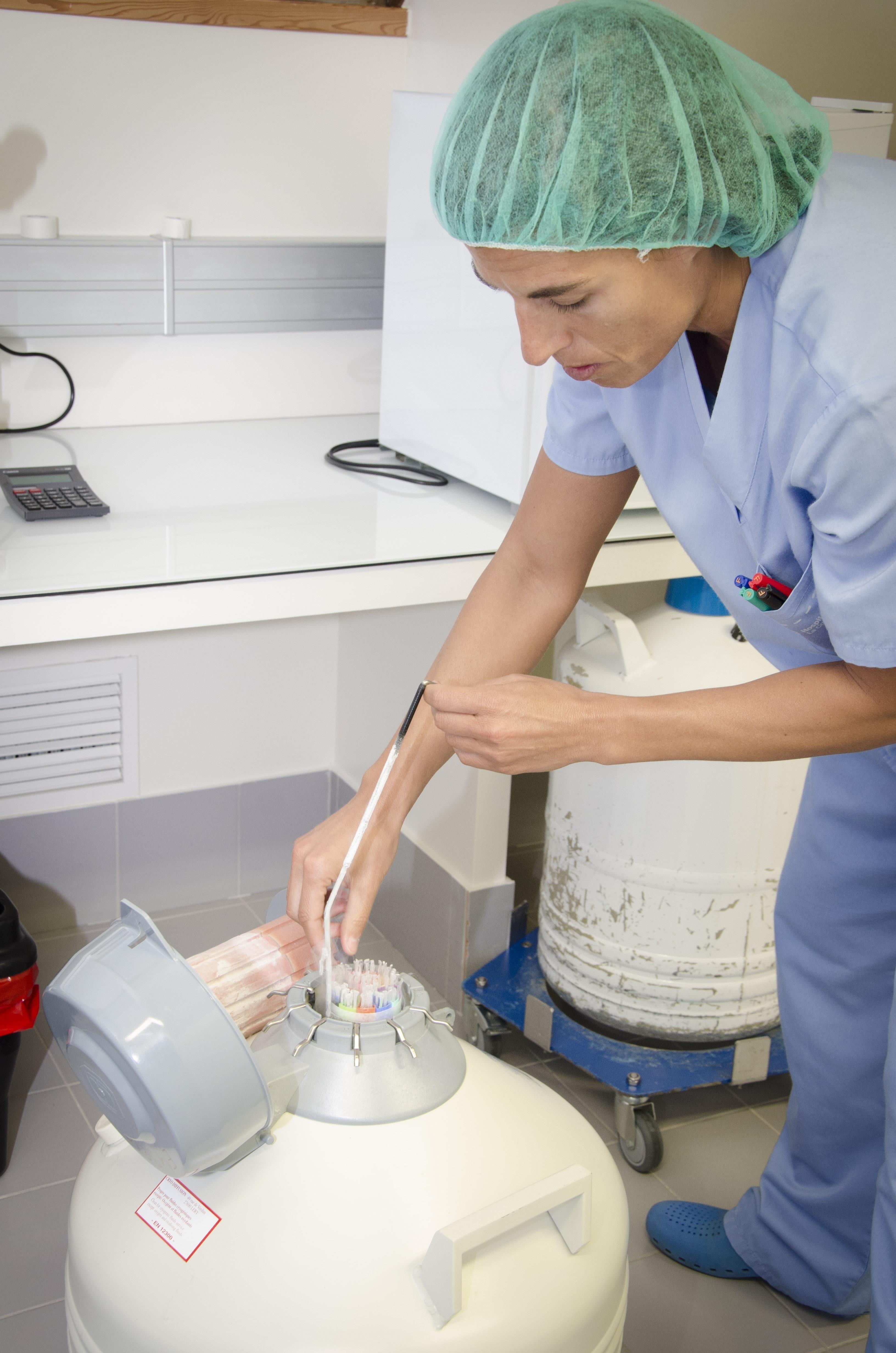 Vitrificación ovocitos Quirónsalud | QUIRÓNSALUD ep vitrificacion ovocitos quironsalud