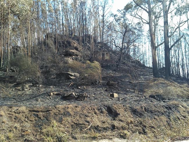 Zona quemada en un incendio en Chandebrito | EUROPA PRESS ep zona quemadaun incendiochandebrito