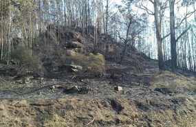 ep zona quemadaun incendiochandebrito