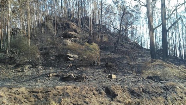 ep zona quemadaun incendiochandebrito