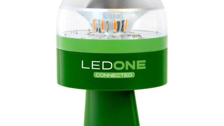 ledone vreal 1 20240229201053 