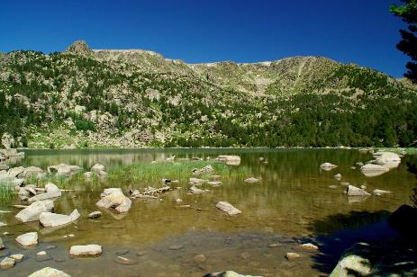 1619162795 captura de pantalla 2021 04 23 a les 92447