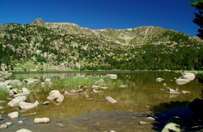 1619162795 captura de pantalla 2021 04 23 a les 92447