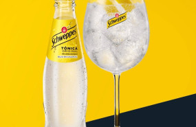 ep archivo   botella de tonica schweppes