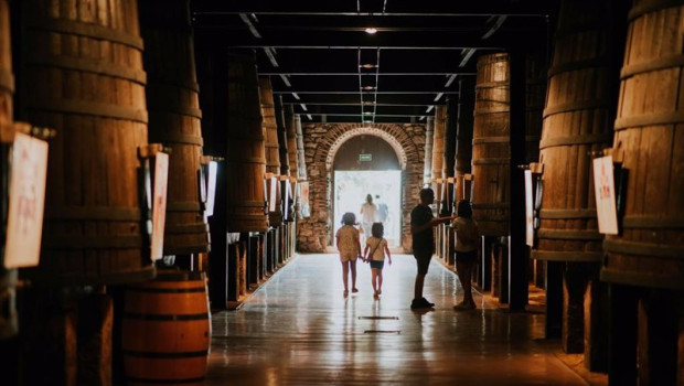 ep archivo   en diciembre puertas abiertas para los riojanos en bodegas franco espanolas