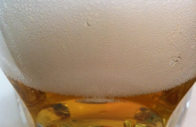 ep archivo   recursos de cerveza vertida en un vaso con espuma