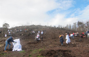 ep campanareforestacionabancamontecoruxo