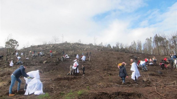 ep campanareforestacionabancamontecoruxo