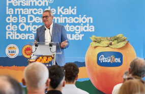 ep cirilo arnandis presidente de la dop kaki ribera del xuquer