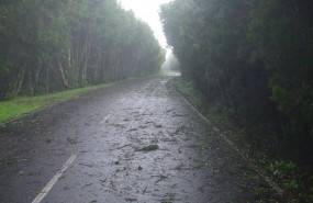 ep efectos de un temporal de viento en la isla de la gomera