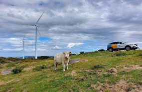 ep iberdrola facilita a las empresas una calculadora gratuita para ahorrar en la factura y reducir