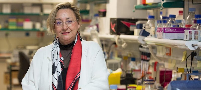 ep la investigadora del instituto de neurociencias del csic angela nieto ep la investigadora del instituto de neurociencias del csic angela nieto
