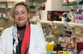 ep la investigadora del instituto de neurociencias del csic angela nieto