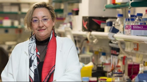 ep la investigadora del instituto de neurociencias del csic angela nieto