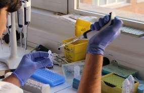 ep laboratorio laboratorios cientifico cientificos cientifica