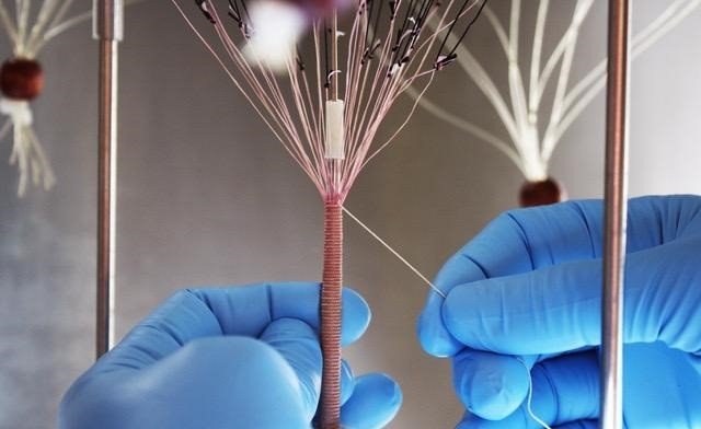 Los investigadores utilizan hojas de matriz extracelular para hacer hilo, similar al que se utiliza para hacer tela de ropa. | NICOLAS L'HEUREUX ep los investigadores utilizan hojas de matriz extracelular para hacer hilo similar al que se