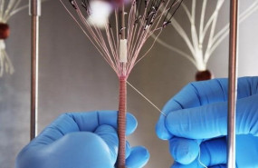 ep los investigadores utilizan hojas de matriz extracelular para hacer hilo similar al que se
