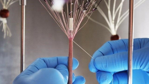ep los investigadores utilizan hojas de matriz extracelular para hacer hilo similar al que se