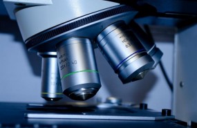 ep microscopio