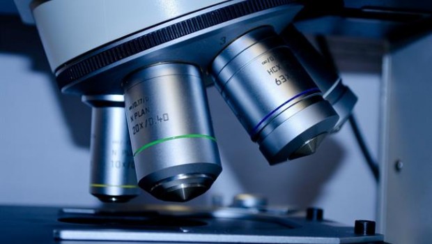 ep microscopio