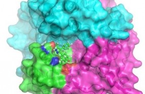 ep potenciales farmacosla aciduria metilmalonica