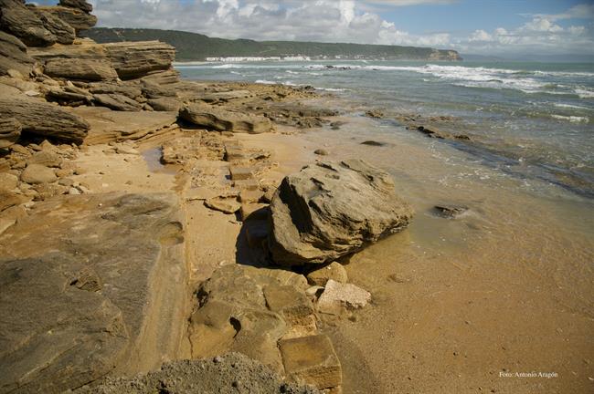 Restos arqueológicos hallados en el tómbolo de Trafalgar | AYUNTAMIENTO DE BARBATE ep restos arqueologicos halladostombolotrafalgar
