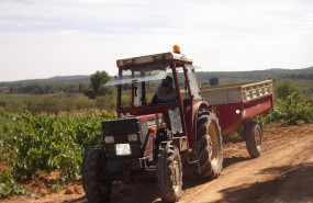 ep tractor en una recogida de uva