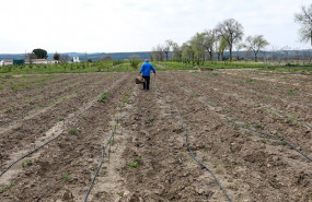 ep un agricultor en el campo