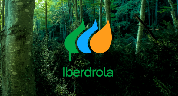 Iberdrola evoluciona su logo manteniendo los valores de sostenibilidad e innovación