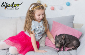 1651570094 pienso ecologico cerdos mascota 1651570094 pienso ecologico cerdos mascota