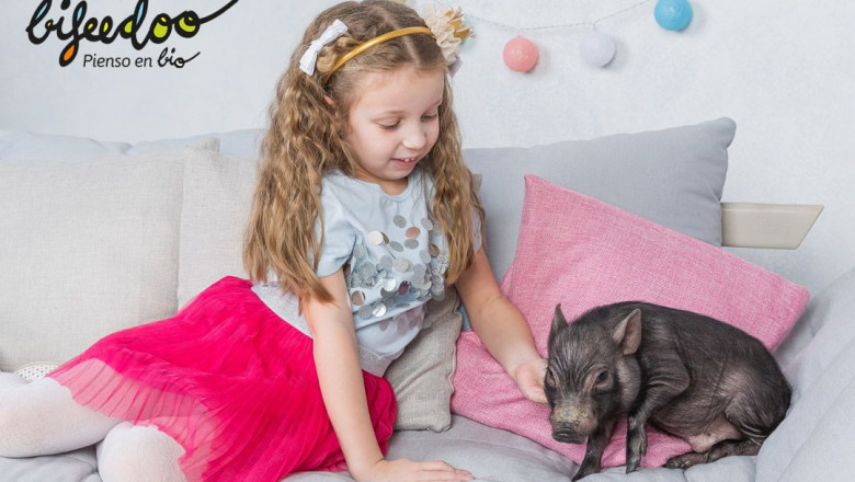 1651570094 pienso ecologico cerdos mascota