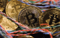 bitcoincb11 bitcoincb11