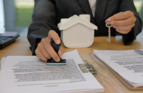 captura de pantalla 2024 11 26 a les 133147 1 captura de pantalla 2024 11 26 a les 133147 1