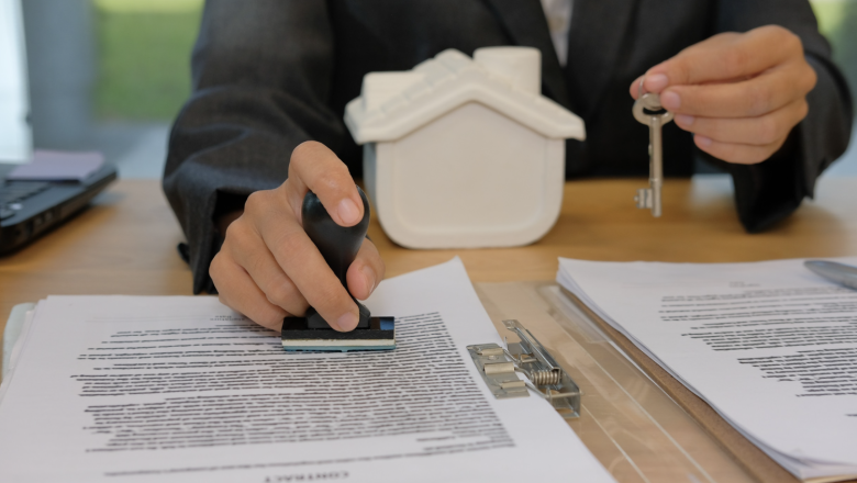 captura de pantalla 2024 11 26 a les 133147 1 