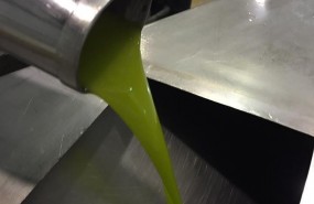 ep aceiteoliva 20180524125101