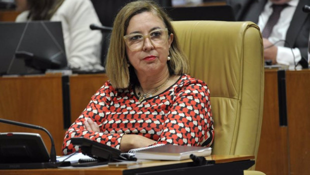 ep archivo   la consejera de agricultura ganaderia y desarrollo sostenible mercedes moran en una