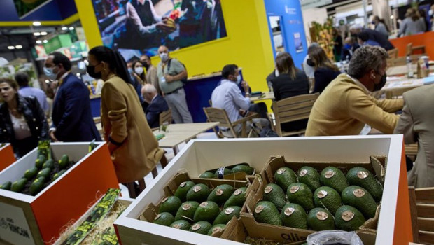 ep archivo   varias cajas de aguacates