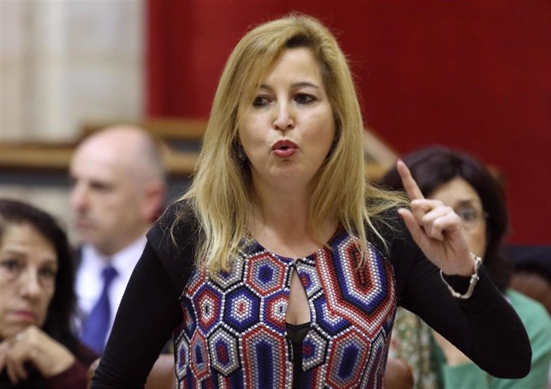 ep carmen lizarraga en una foto de archivo en el parlamento andaluz