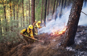 ep efectivosla brifpuntagorda intervienenlas laboresextincionincendiogran canaria