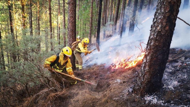 ep efectivosla brifpuntagorda intervienenlas laboresextincionincendiogran canaria