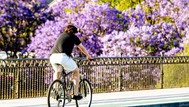 ep foto de archivo de un ciclista por el puente de triana con la floracion de la jacaranda a 24 de
